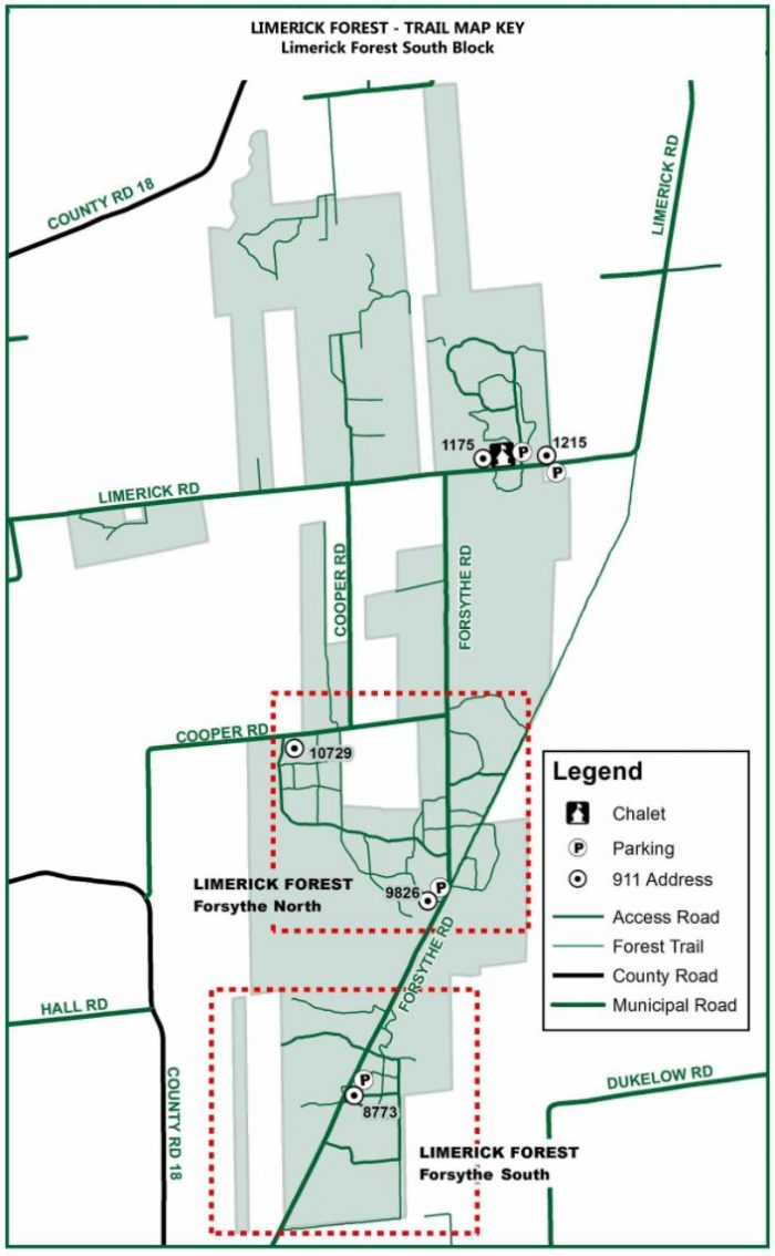 Limerick Forest MTB Trail Ontario Bike Trails