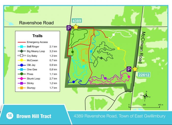 Ravenshoe Brown Hill bike trails