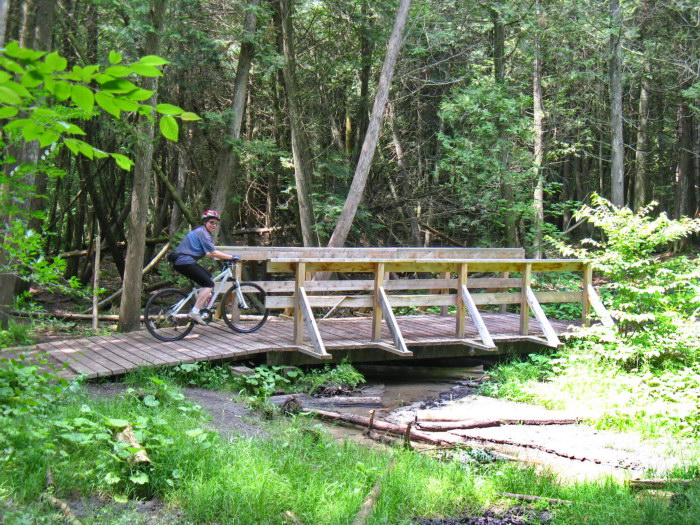 Stephen’s Gulch – Park Trail