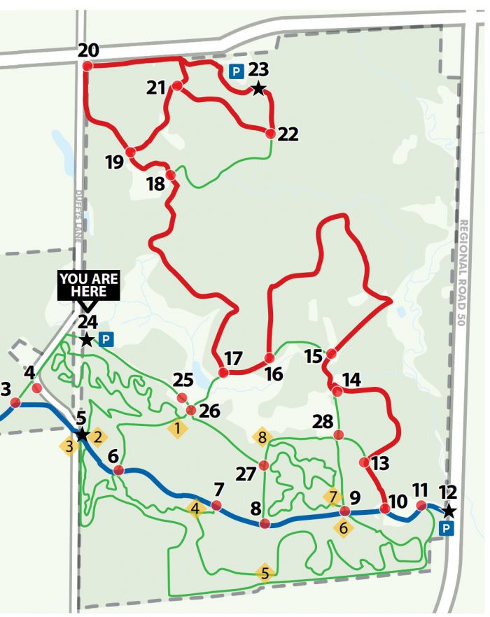 Palgrave MTB trails