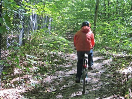 Whitchurch + Porritt – Park / MTB Trail