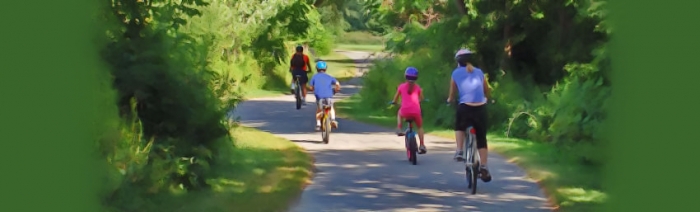 family bike ride
