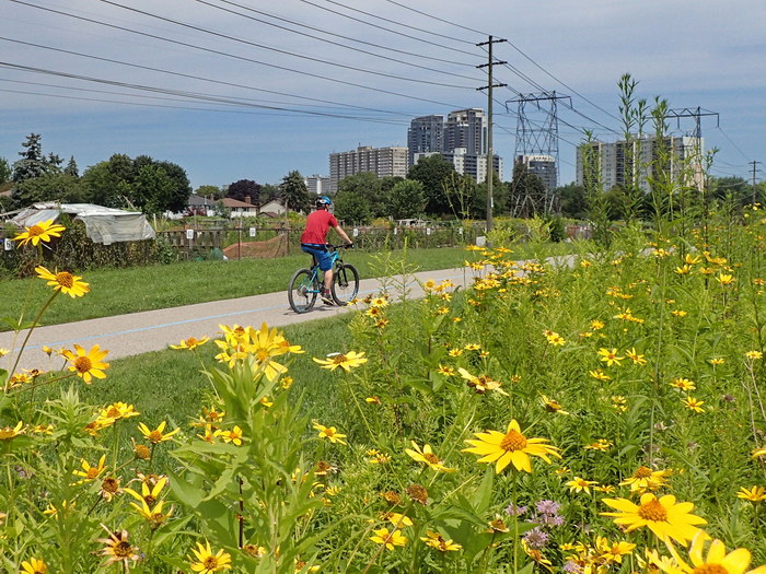 Meadoway – Park Trail